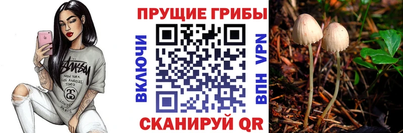 Галлюциногенные грибы GOLDEN TEACHER  Людиново 
