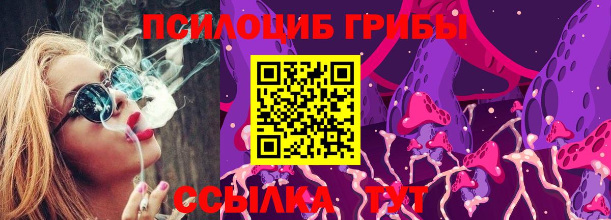 Галлюциногенные грибы мицелий Людиново