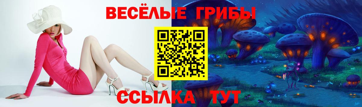 наркотики  Людиново  Галлюциногенные грибы MAGIC MUSHROOMS 